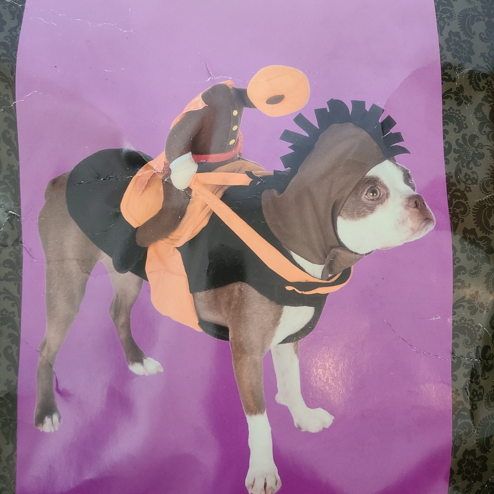 Dog Headless Horseman Costume